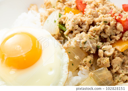 Close-up of gapao rice-style rice, using parsley instead of gapao (holy basil). 102828151