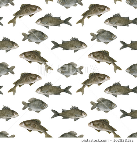 Watercolor freshwater fish seamless pattern. Hand drawn European carp, common perch and bream fish isolated on white. School of fish. Lake and river fishing background. Seafood illustration for store 102828182