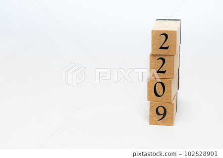 木塊編號 4 位 2209 木塊編號 4 位 2209 102828901