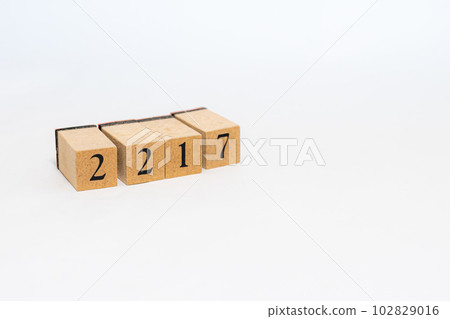 木塊編號 4 位 2171 102829016