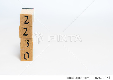 木塊編號 4 位 2230 102829061