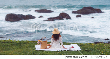 Elegant Beach Picnic for One Woman During Sea Vacation 102829324