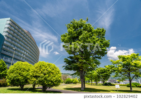 滋賀縣大津市渚公園，琵琶湖畔的公園 102829402