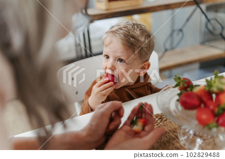 Grandmother giving homegrown strawberries to her little grandson. Grandmother giving homegrown strawberries to her little grandson. 102829488