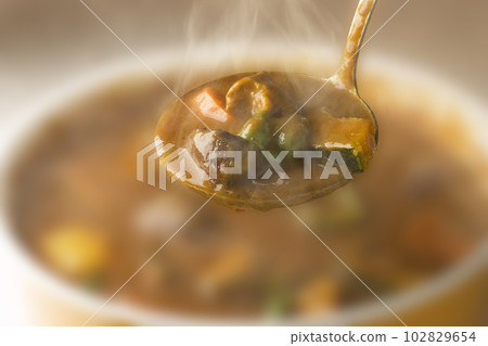 beef and vegetable curry beef and vegetable curry 102829654