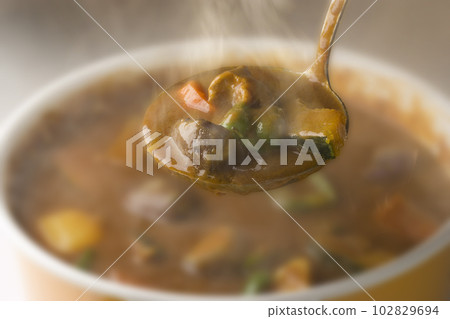 beef and vegetable curry beef and vegetable curry 102829694