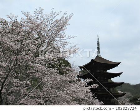 Rurikoji Rurikoji 102829724