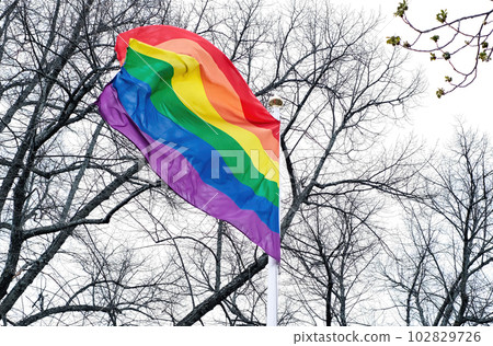 Close-up LGBT pride flag against a vibrant sky, evoking a sense of openness and freedom Close-up LGBT pride flag against a vibrant sky, evoking a sense of openness and freedom 102829726