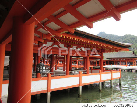 Itsukushima shrine Itsukushima shrine 102829995