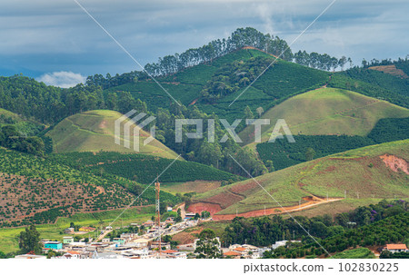 Serene coffee farm in a peaceful rural landscape 102830225