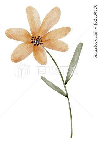 Yellow flower, watercolor illustration for postcards and design. Yellow flower, watercolor illustration for postcards and design. 102830320