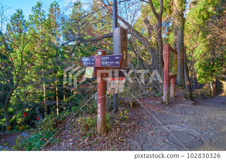 Branch signpost to Nanayo Falls on the hiking trail on Mt. Mitake, Ome City, Tokyo (Nanayo Falls, Mitake Shrine, Rock Garden) 102830326