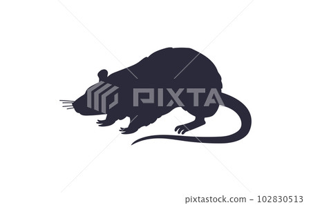 Black silhouette of rat or mouse, flat vector illustration isolated on white background. 102830513