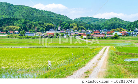 tranquil rural landscape 102830748