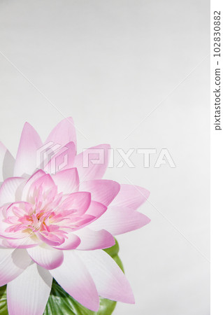 Lotus flower (artificial flower) Lotus flower (artificial flower) 102830882