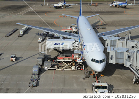 Passenger plane preparing for departure Loading cargo, connecting boarding bridge 102831256