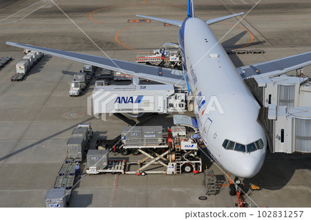 Passenger plane preparing for departure Loading cargo, connecting boarding bridge 102831257