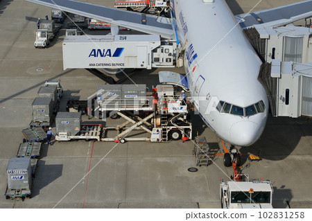 Passenger plane preparing for departure Loading cargo, connecting boarding bridge Passenger plane preparing for departure Loading cargo, connecting boarding bridge 102831258