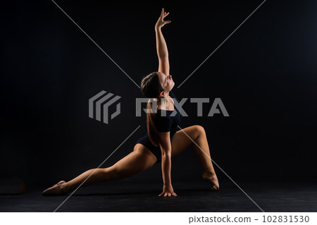 Flexible girl, rhythmic gymnastics artist jumping on white dark background. Grace in motion, action. 102831530