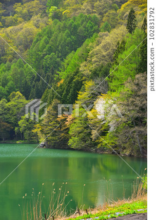 《Nagano Prefecture》Omachi City Spring Lake Nakatsuna 102831792