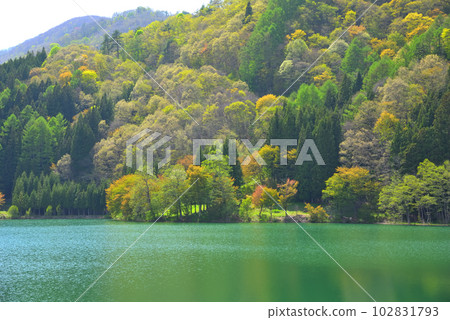 《Nagano Prefecture》Omachi City Spring Lake Nakatsuna 102831793