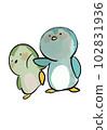 Angry penguin white background 102831936
