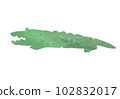 Crocodile transparent background 102832017