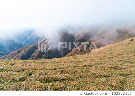 【日本名山100】從富士山南坡眺望的霧氣瀰漫的四國笠和紅葉谷。 【日本名山100】從富士山南坡眺望的霧氣瀰漫的四國笠和紅葉谷。 102832135