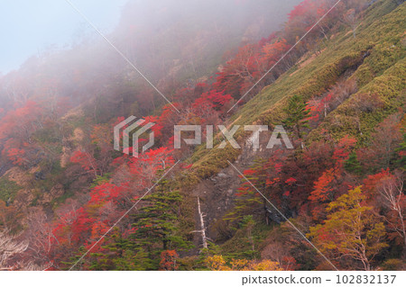 秋葉飄渺的次郎大井東坡德島縣中郡中町1號 秋葉飄渺的次郎大井東坡德島縣中郡中町1號 102832137