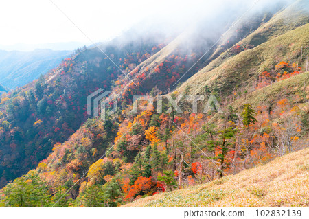 East slope of Jiro Oi with misty autumn leaves 3, Naka-machi, Naka-gun, Tokushima Prefecture 102832139