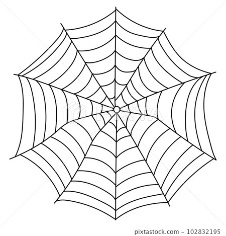 Scary spider web isolated. Spooky Halloween decoration. Outline cobweb illustration Scary spider web isolated. Spooky Halloween decoration. Outline cobweb illustration 102832195