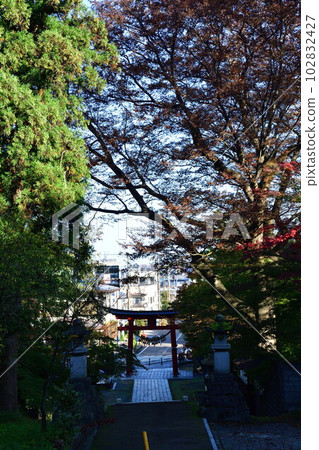 清晨的青海神社(新潟縣) 清晨的青海神社(新潟縣) 102832427