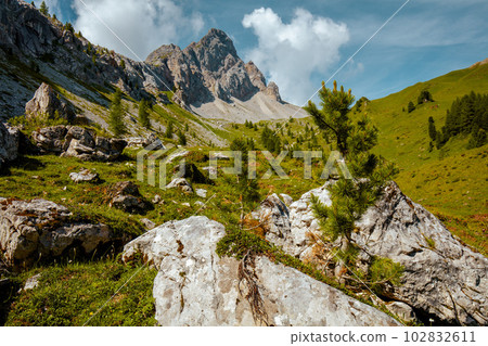 landscape with mountains, clouds, rocks and trees landscape with mountains, clouds, rocks and trees 102832611