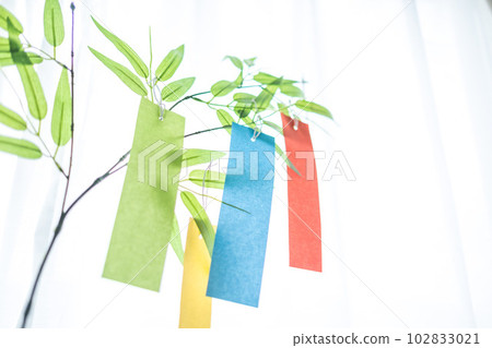 七夕的形象和清新的夏日光 102833021