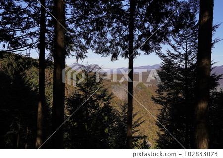 從西武秩父線正丸站出發的伊豆岳登山從登山道往北看山脊 2023 年 2 月 17 日 從西武秩父線正丸站出發的伊豆岳登山從登山道往北看山脊 2023 年 2 月 17 日 102833073