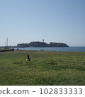 Enoshima seen from the grassland where children are playing 102833333