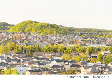 Residential area at dusk 102833404