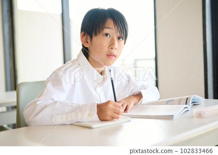 Elementary school boy studying Elementary school boy studying 102833466