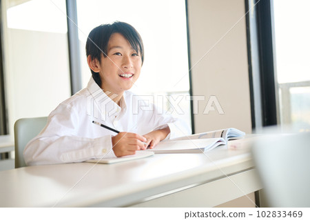 Elementary school boy studying 102833469