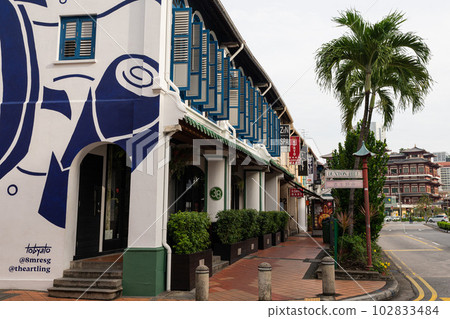 新加坡街頭 102833484