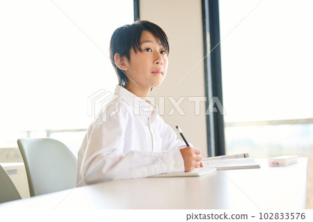 Elementary school boy studying 102833576