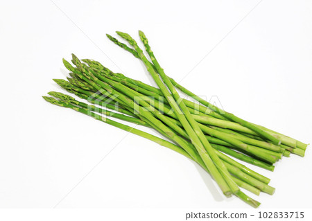 新鮮採摘的蘆筍 102833715