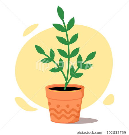 House plants in pot. Trendy plants in flat style. 102833769