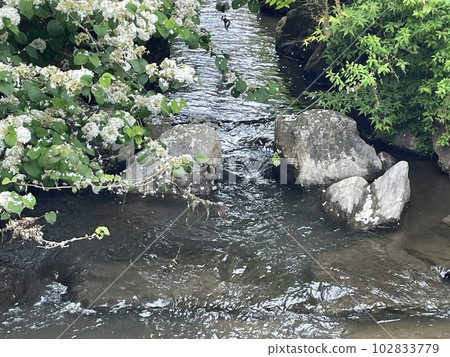 雨天清流 102833779
