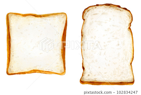 Hand drawn watercolor touch illustration_sliced bread and British bread 102834247