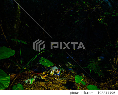 Fireflies flying around garbage dumped in the forest Fireflies flying around garbage dumped in the forest 102834596
