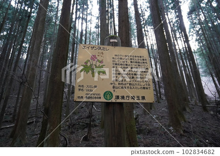From the summit of Mt. Izugatake to Shomaru Pass. Explanation board on the mountain trail from Shomaru Pass to Shomaru Station, February 17, 2023 From the summit of Mt. Izugatake to Shomaru Pass. Explanation board on the mountain trail from Shomaru Pass to Shomaru Station, February 17, 2023 102834682