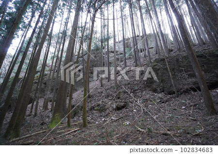 從伊豆嶽山頂到小丸嶺。從小丸嶺到小丸站的登山路 2023 年 2 月 17 日 102834683