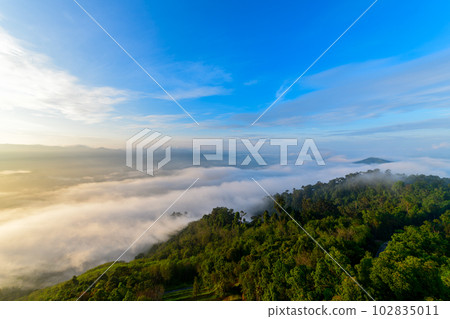 beautiful sea of mist and sunrise, Yala Province, Thailand 102835011