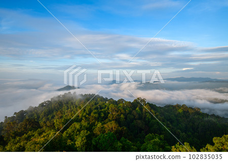 beautiful sea of mist and sunrise, view from Aiyoeweng View Point, Yala Province 102835035